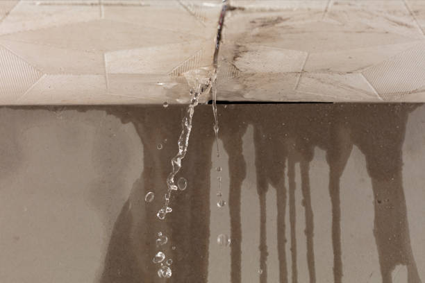 Professional Sewage Cleanup technician working in Medina, NY